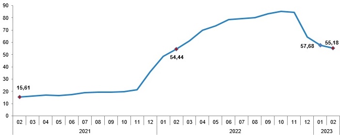 Yıllık enflasyon %55,18 oldu
